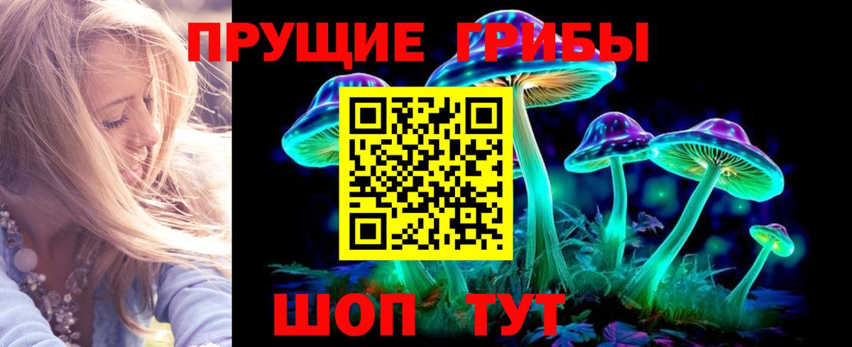Галлюциногенные грибы Magic Shrooms  Псилоцибиновые грибы GOLDEN TEACHER  купить   Шадринск  Вход с VPN 