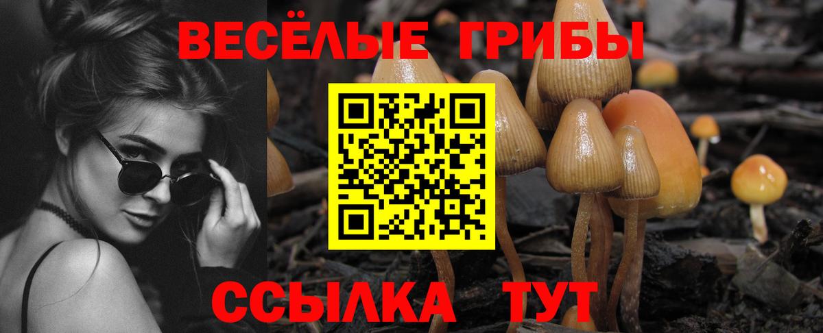 Псилоцибиновые грибы мухоморы Шадринск